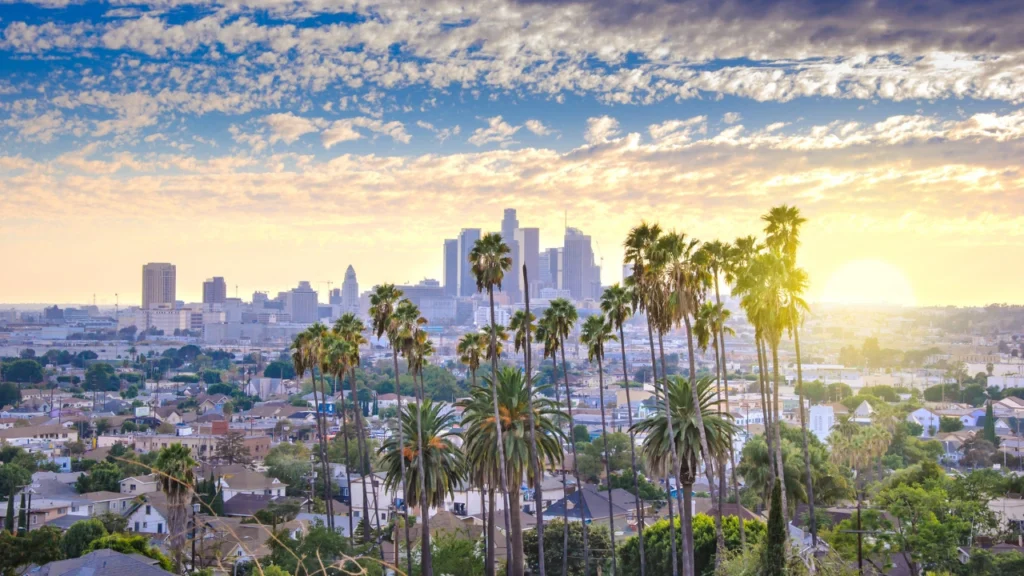 Los Angeles Cali Landing Img