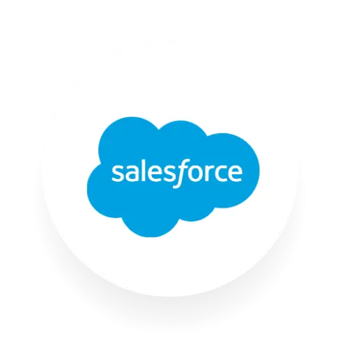 Salesforce Icon